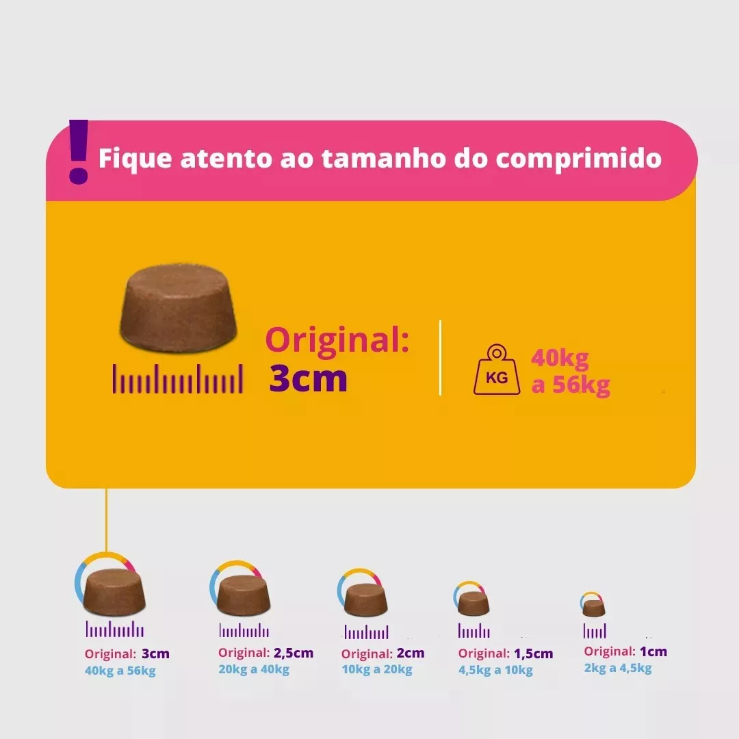 Bravecto Cães De 4,5 A 10kg + Com Brinde Bolsa Térmica - Imagem 3